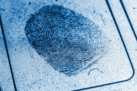DNA Fingerprinting is Invented